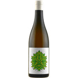 Fletcher ‘Arcato’ Vino Bianco – Orange Wine 2024