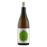 Fletcher ‘Arcato’ Vino Bianco – Orange Wine 2024