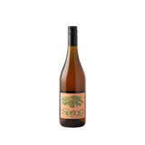 Oscar Hermann 'Spring' Rose 2023