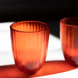 Brian Tunks Cut Glass Iguassu Tumbler Set of Two