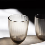 Brian Tunks Cut Glass Iguassu Tumbler Set of Two