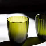 Brian Tunks Cut Glass Iguassu Tumbler Set of Two