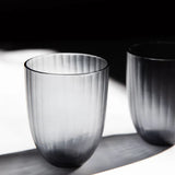 Brian Tunks Cut Glass Iguassu Tumbler Set of Two