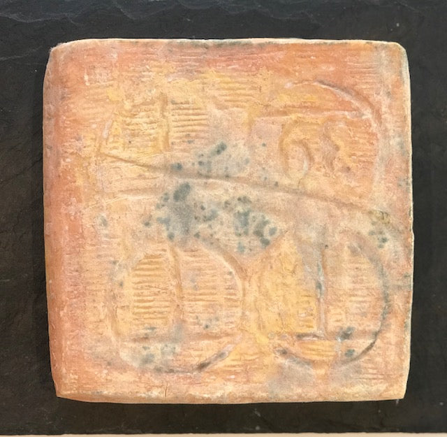 Taleggio