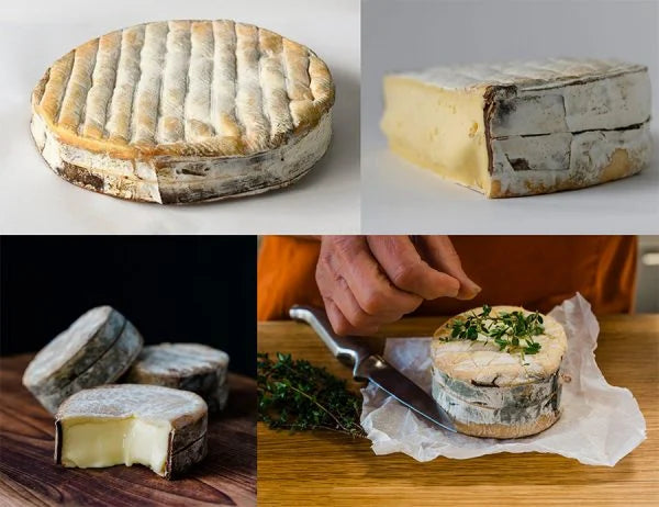 Long Paddock Driftwood - The Artisan Cheese Room