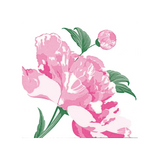 Francoise Paviot Dinner Napkins