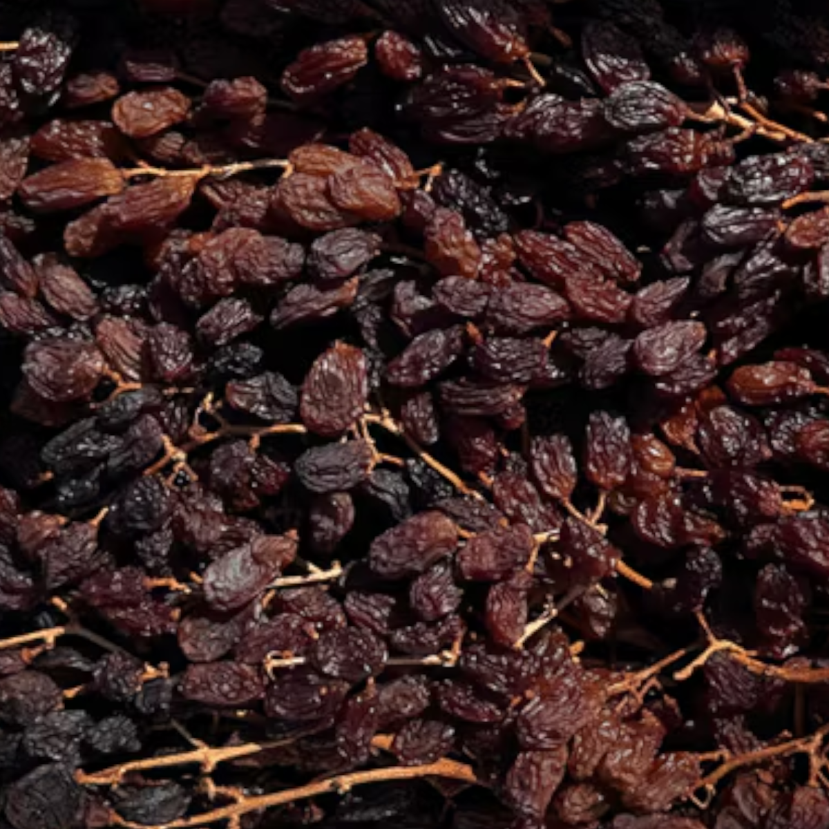The Artisan Cheese Room Muscatels on the Vine, dark dried grapes presented in a white lined box