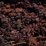 The Artisan Cheese Room Muscatels on the Vine, dark dried grapes presented in a white lined box