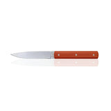 The Artisan Cheese Room Perceval 9.47 table knife with a vibrant orange polyacetal handle and stainless steel blade.